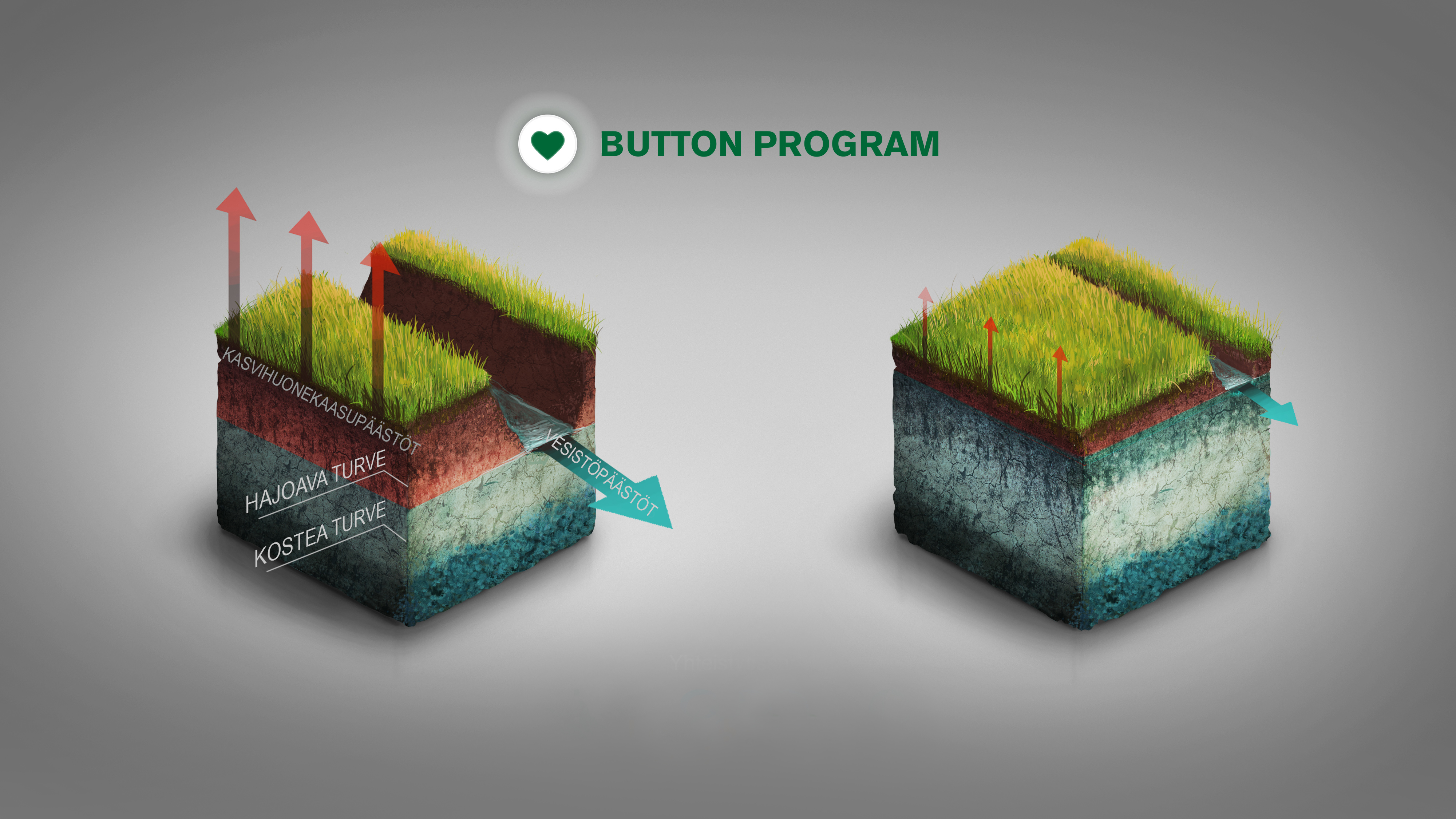 Kaavio Button Program -metsätietosovelluksen toiminnasta.