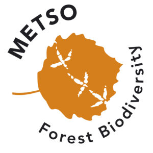 METSO-logo-eng