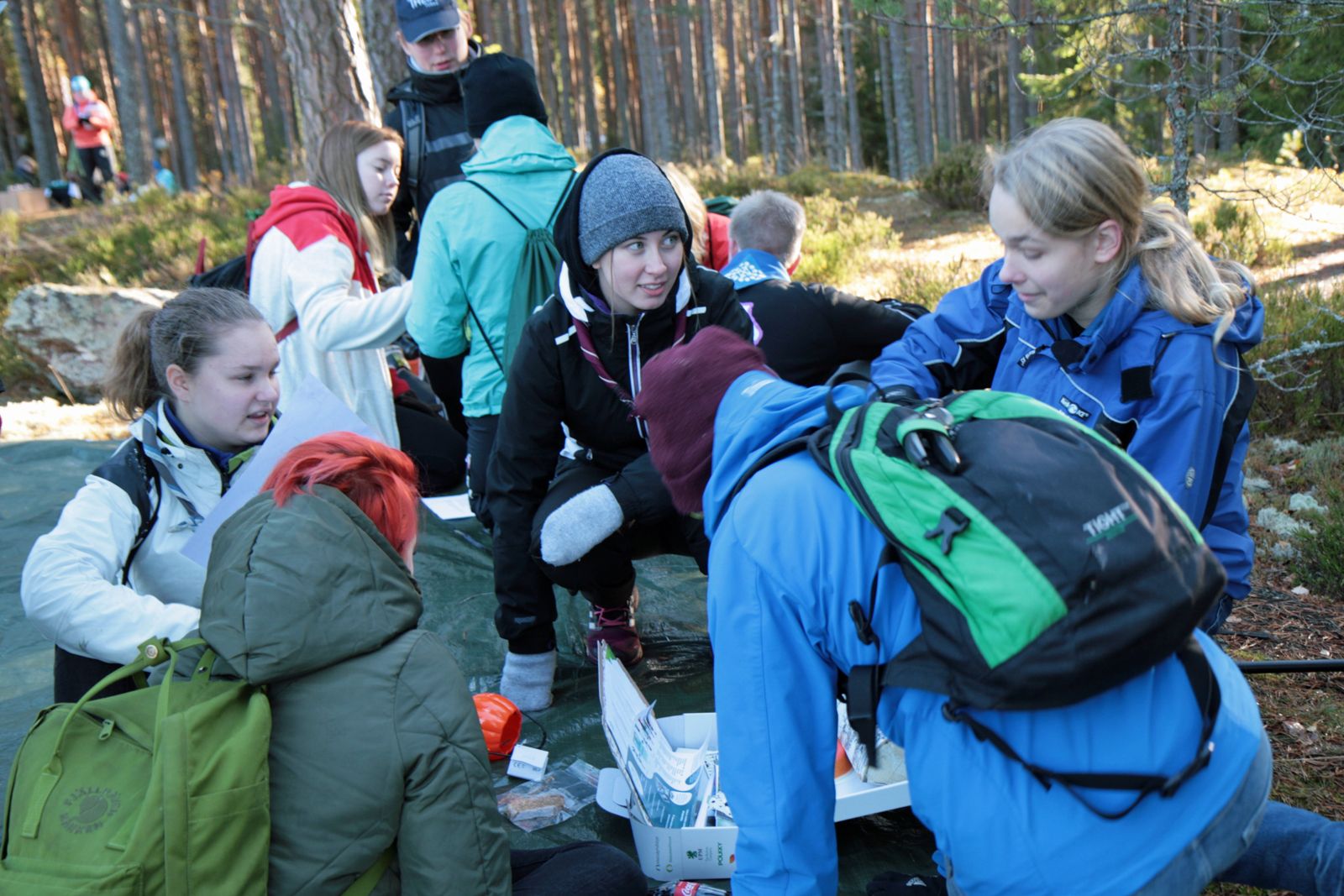 Matleena Pelkonen, Eevi Kallio, Arto Tuominen, Arttu Hintsala and Petra Huttunen attempt to answer questions on forest-related products. Photo: Anna Kauppi