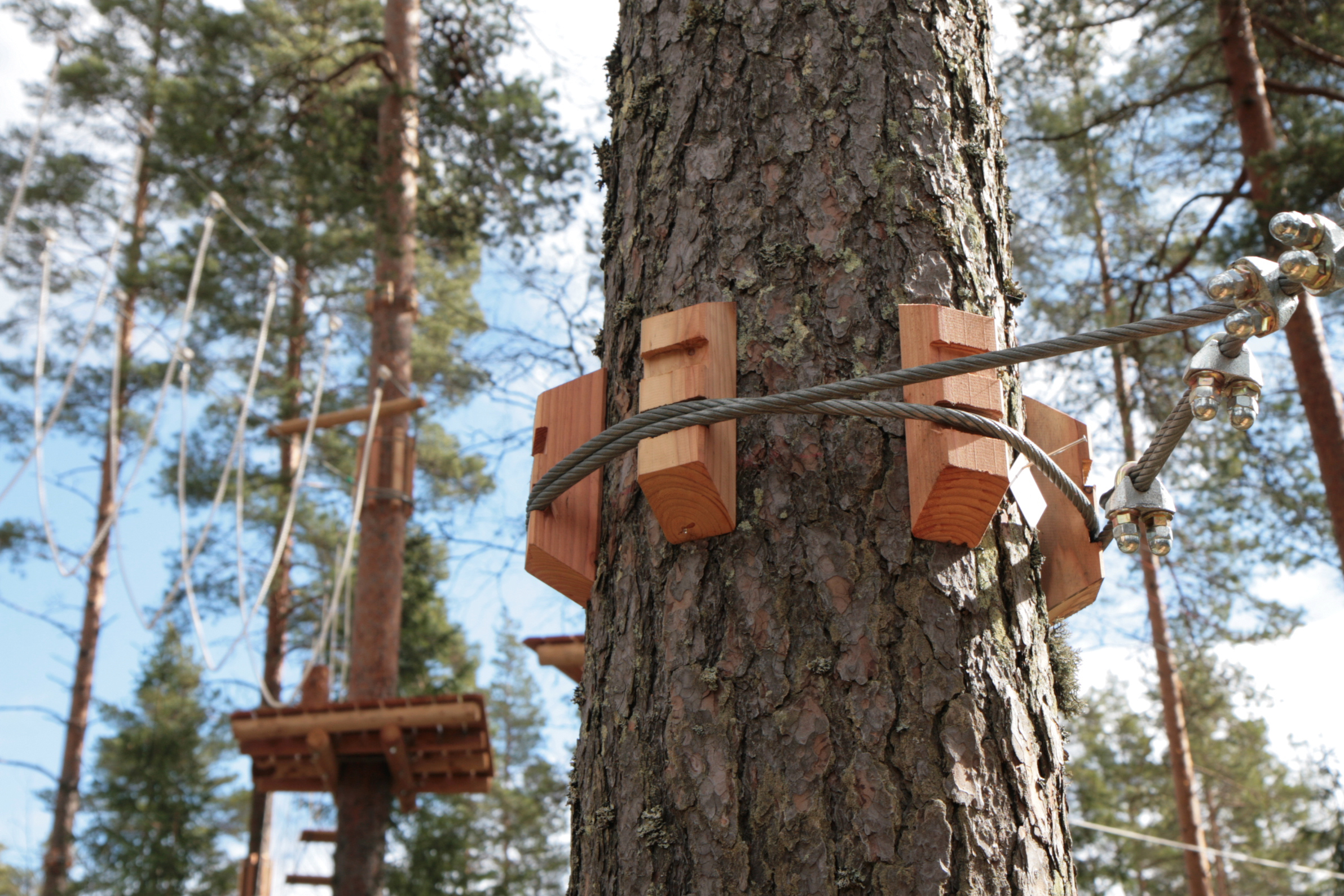 The adventure park courses are designed so as not to prevent tree growth. Photo: Anna Kauppi