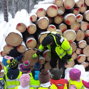 Metsäopetusta päiväkodissa. Kuva: Kellarpellon päiväkoti