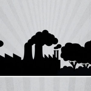 Birdlife: The Black Book of Bioenergy