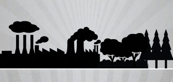 Birdlife: The Black Book of Bioenergy