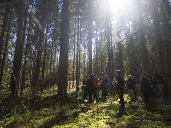 Metsävisa 2017. Kuva: Vilma Issakainen