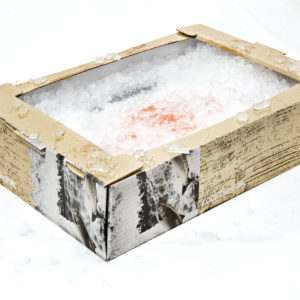 EcoFishBox. Kuva: Stora Enso