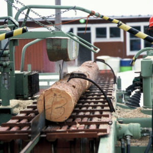 Metsäalan nuorten mielestä metsäala on laajat mahdollisuudet omaava auringonnousun ala. Alalla on rennon rempseitä ihmisiä, metsureista innovatiivisiin tutkijoihin.