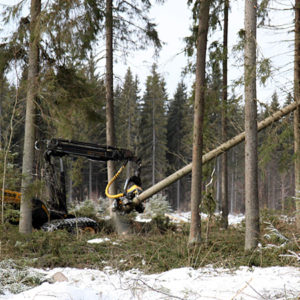 In Hyvinkää, for example, land use planning restrictions decrease the largest sustainable logging volumes, as well as the timber sales revenues, by seven percent.