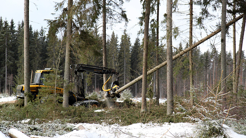 In Hyvinkää, for example, land use planning restrictions decrease the largest sustainable logging volumes, as well as the timber sales revenues, by seven percent.