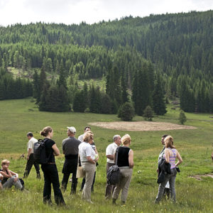 Kansainvälisen Case Forest -menetelmän juuret ovat Savonlinnan opettajankoulutuksessa. Case Forest antaa opettajille välineita opetuksen monipuolistamiseen. Kuva on hankkeen päätösseminaarista Bulgariasta. Siellä ja Suomessa opetuskulttuurit ovat hyvin erilaiset. Kuva: Henry Stahre