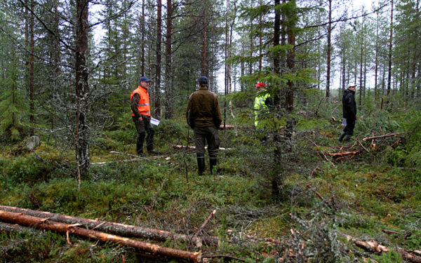 PEFC-sertifioinnin auditointia Rovaniemellä. Kuva: Krista Kimmo