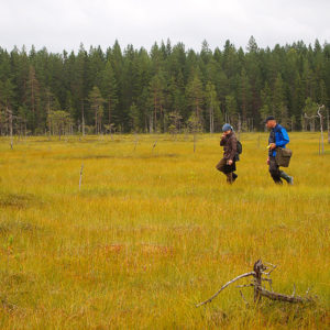 Eskonneva mire in Saarijärvi. Photo: Hannes Mäntyranta