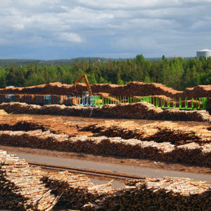 Rovaniemen puutavaraterminaali. Kuva: Hannes Mäntyranta