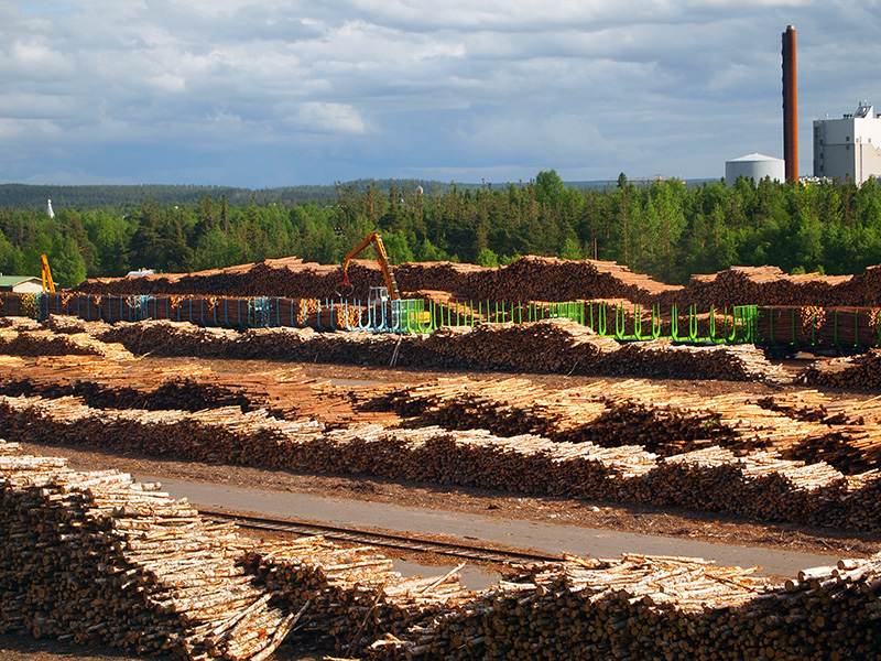 Rovaniemen puutavaraterminaali. Kuva: Hannes Mäntyranta