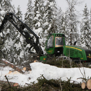 Hakkuukone. Kuva: Anna Kauppi