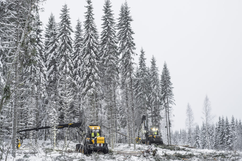 Finnish Forest Sector Grows In Many Areas – Output Is Largest Near ...