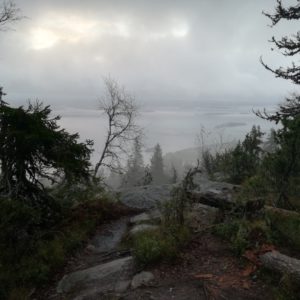 Kolin syksyinen kansallismaisema. Kuva: Annamari Heikkinen