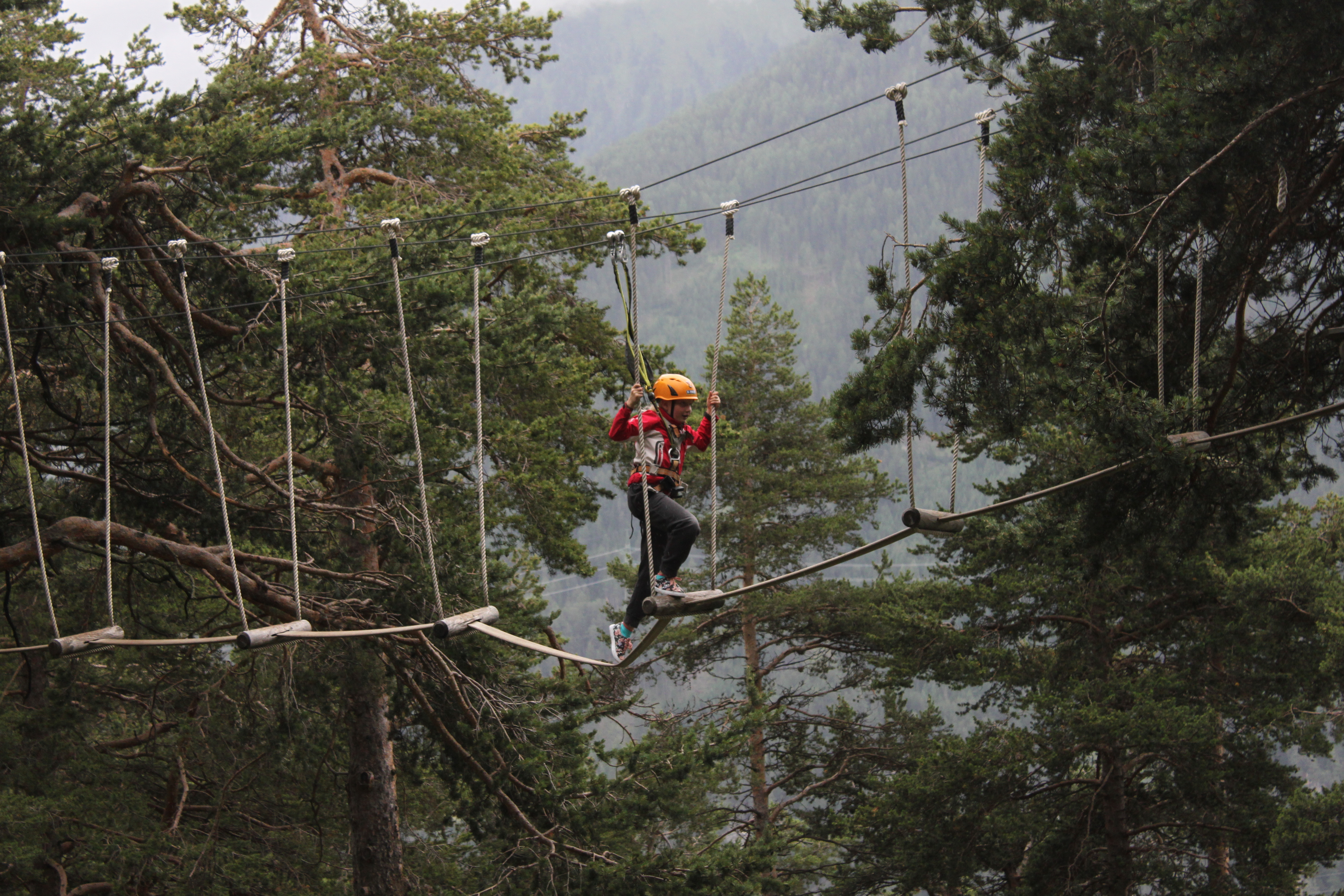 Metsän tarjoamista virkistyspalveluista voi nauttia monin tavoin. Itävallan Tiroliin on rakennettu metsäpolku puunlatvojen tasalle. Kuva:t Kai Lintunen