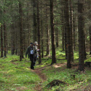 Metsätaidon SM-kisat 2015. Kuva: Anne Rauhamäki