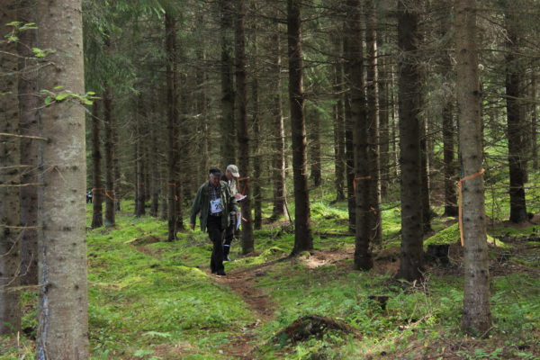 Metsätaidon SM-kisat 2015. Kuva: Anne Rauhamäki