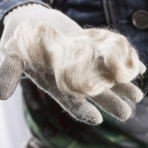 Karbamaattiteknologialla valmistettua sellukuitua ja siitä tehty käsine. Kuva: VTT