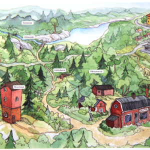 Pikkumetsän aapinen. Kuva: Krista Kimmo