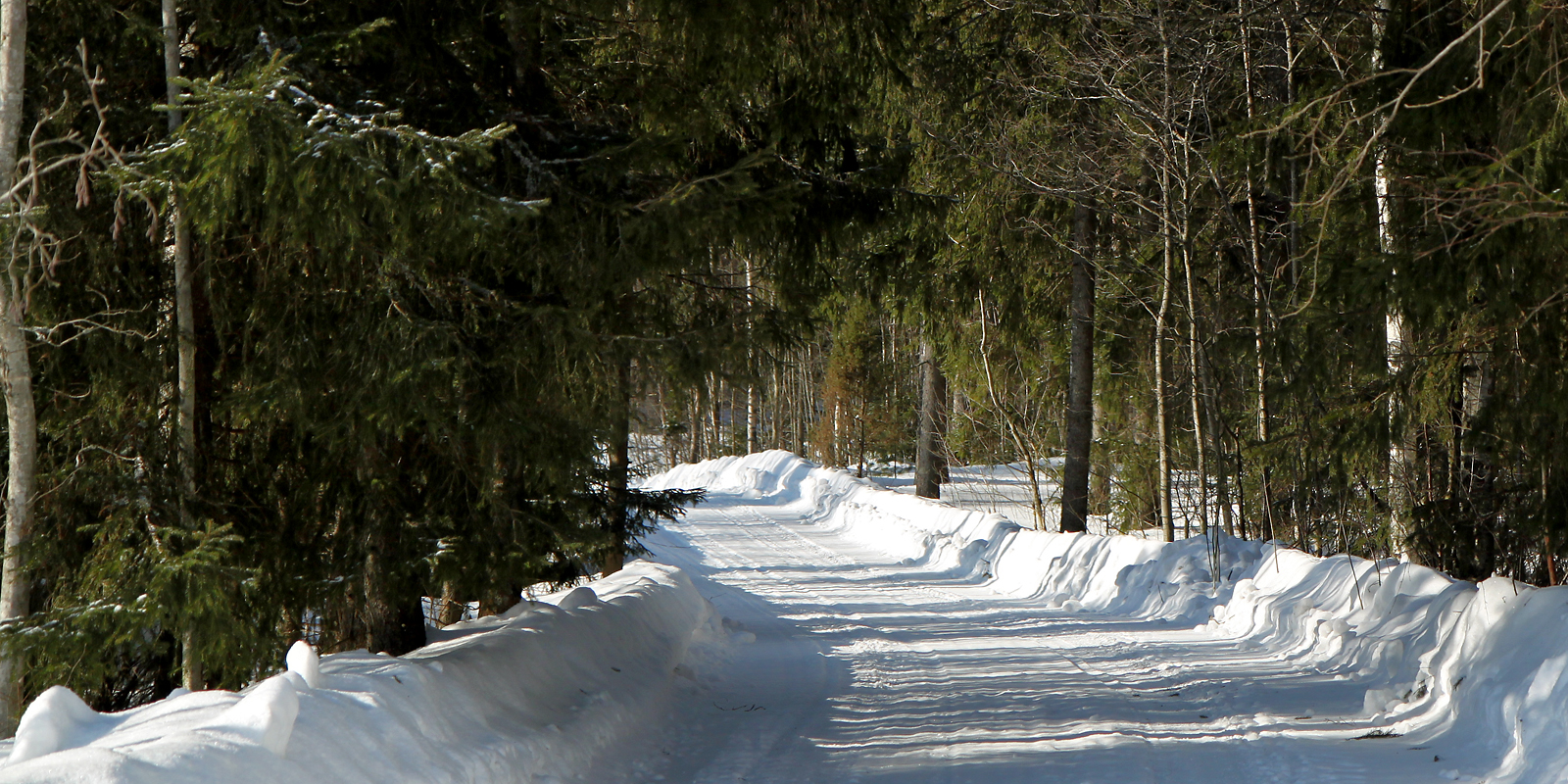 The condition of forestry roads is a key issue for the timber supply. Photo: Krista Kimmo