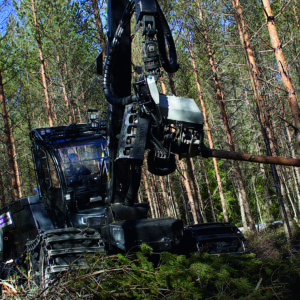 Logset 6HP GTE -hakkuukone. Kuva: Logset