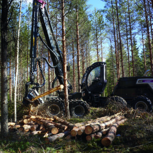 Harvennushakkuuta hakkuukoneella. Kuva: Logset