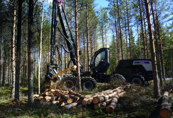 Harvennushakkuuta hakkuukoneella. Kuva: Logset