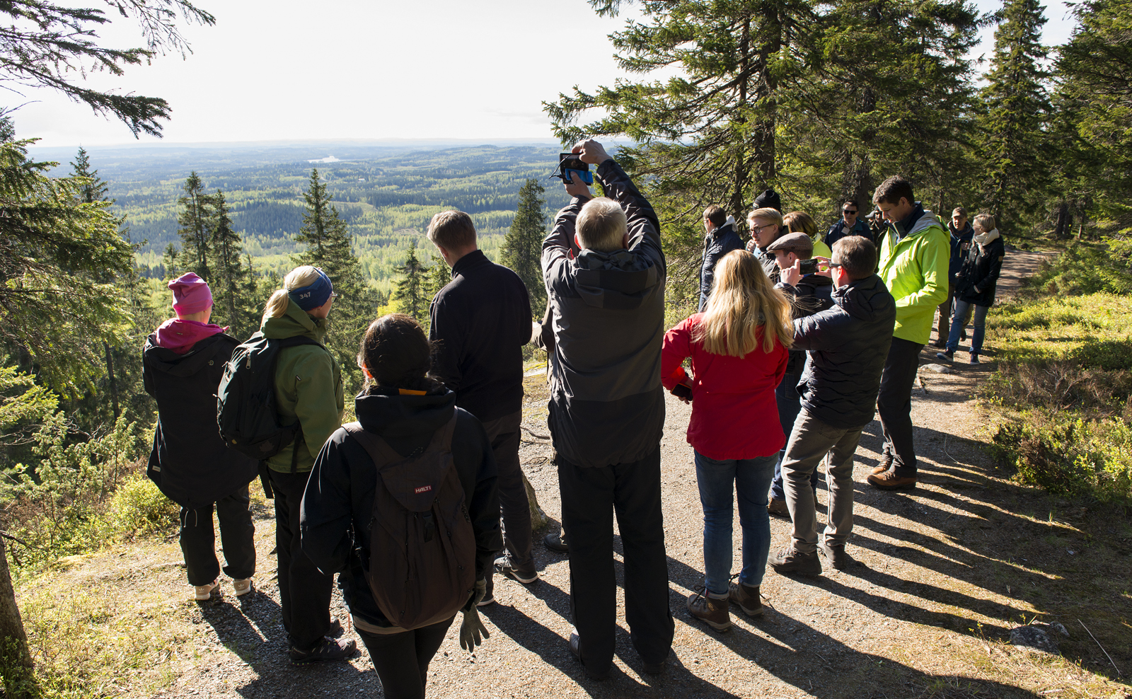 Metsä on suomalaisille yhtenen ja sinne myös mennään mielellään yhdessä. Kuva: Saku Ruusila