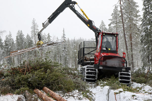 The Forest Education Association brings together all levels of education and forest organisations. Its mission is to make the education more attractive and in line with the challenges of working life. Photo: Anna Kauppi