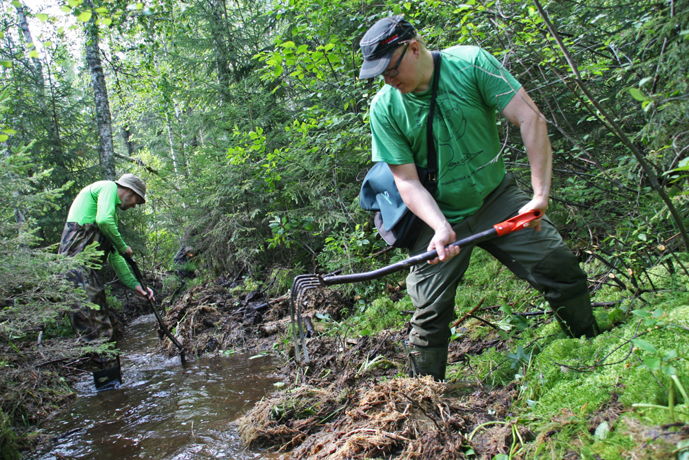 "When restoring a brook this size, shovels produce better results than an excavator," says Lasse Varis (r.). According to Mikko Markkanen (l.), the best tool for opening up the old channel is the waterflow. Photo: Anna Kauppi