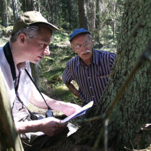 Multi-Forest project. Photo: Anna Kauppi