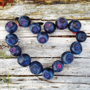 Bilberry. Photo: AnnamariHeikkinen