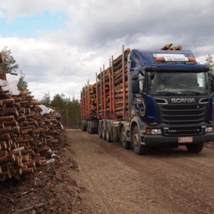 Metsähallitukselle ajava 76-tonninen puutavara-auto. Kuva: Hannes Mäntyranta