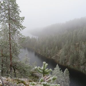 Näkymä Porontiman reitiltä Porontimakanjonin päältä Porontimajärvelle. Kuva: Laila Hökkä