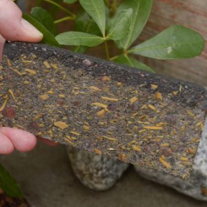 Puukivi, jonka tilavuudesta jopa 50 prosenttia on kierrätyspuumursketta. Kuva: Destaclean