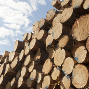 Photo: Erkki Oksanen