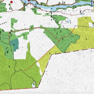 Photo: Finnish Forest Foundation