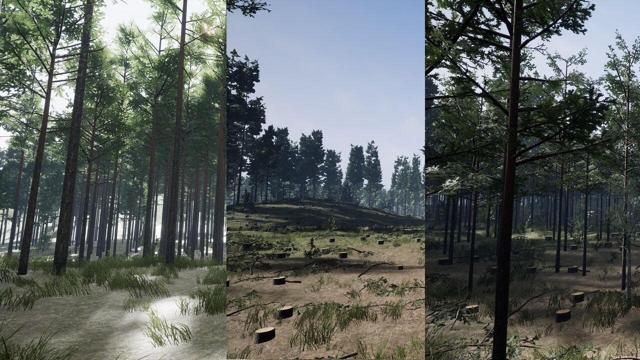 Syväjärvi-simulaatiossa samaa metsää voi tarkastella nyt ja tulevaisuudessa. Vasemmassa kuvassa metsä on sellaisena kuin se on nyt, keskellä heti hakkuun jälkeen ja oikealla 20 vuotta hakkuun jälkeen. Kuva: Joensuun Tiedepuiston pelihautomo / Joensuu Games OSK