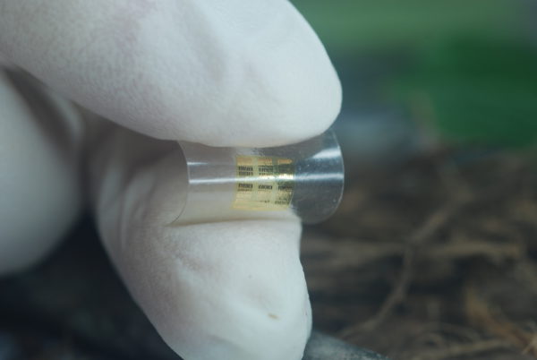 Mikrosirun tukirakenteet on tehty nanoselluloosasta. Kuva: Yei Hwan Jung, Wisconsin Nano Engineering Device Laboratory
