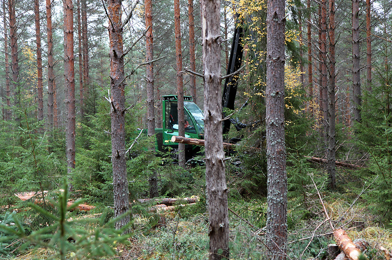 Continuous-cover silviculture in Finland