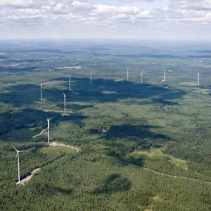 Tuulipuisto metsässä. Kuva: E.ON