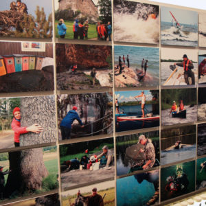 The exhibition “Moving” features 140 different pursuits in nature. The exhibition at the Finnish Nature Centre Haltia in Nuuksio, Espoo, is open until April 2016. Photo: Anna Kauppi