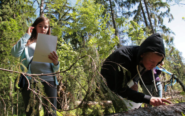 Metsävisa 2016. Kuva: Anna Kauppi