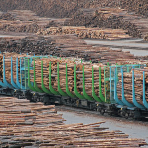 Tukkivaunuja Rovaniemellä. Kuva: Anna Kauppi