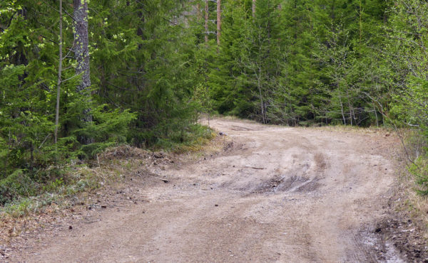 Metsätien perusparannuksen keskimääräinen kustannus on 15 000 euroa kilometriltä. Sonkajärveläistien peruskorjauksessa tien runko muotoillaan ja sivuojat kaivetaan auki. Kuva: Päivi Mäki