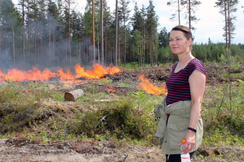 Metsänomistaja Piia Niskala seuraa, kuinka tulta sytytetään viime talvena hakatun aukon reunoilla. Kuva: Aino Ässämäki