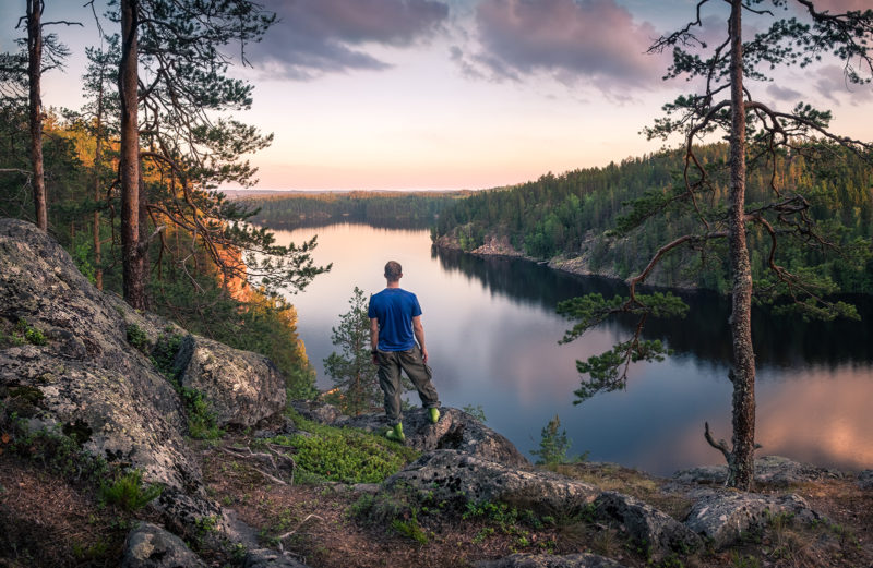 Metsien Suomi. Kuva: Jani Riekkinen