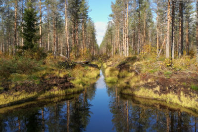 Kunnostusojituksen laskeutusallas. Kuva: Anna Kauppi
